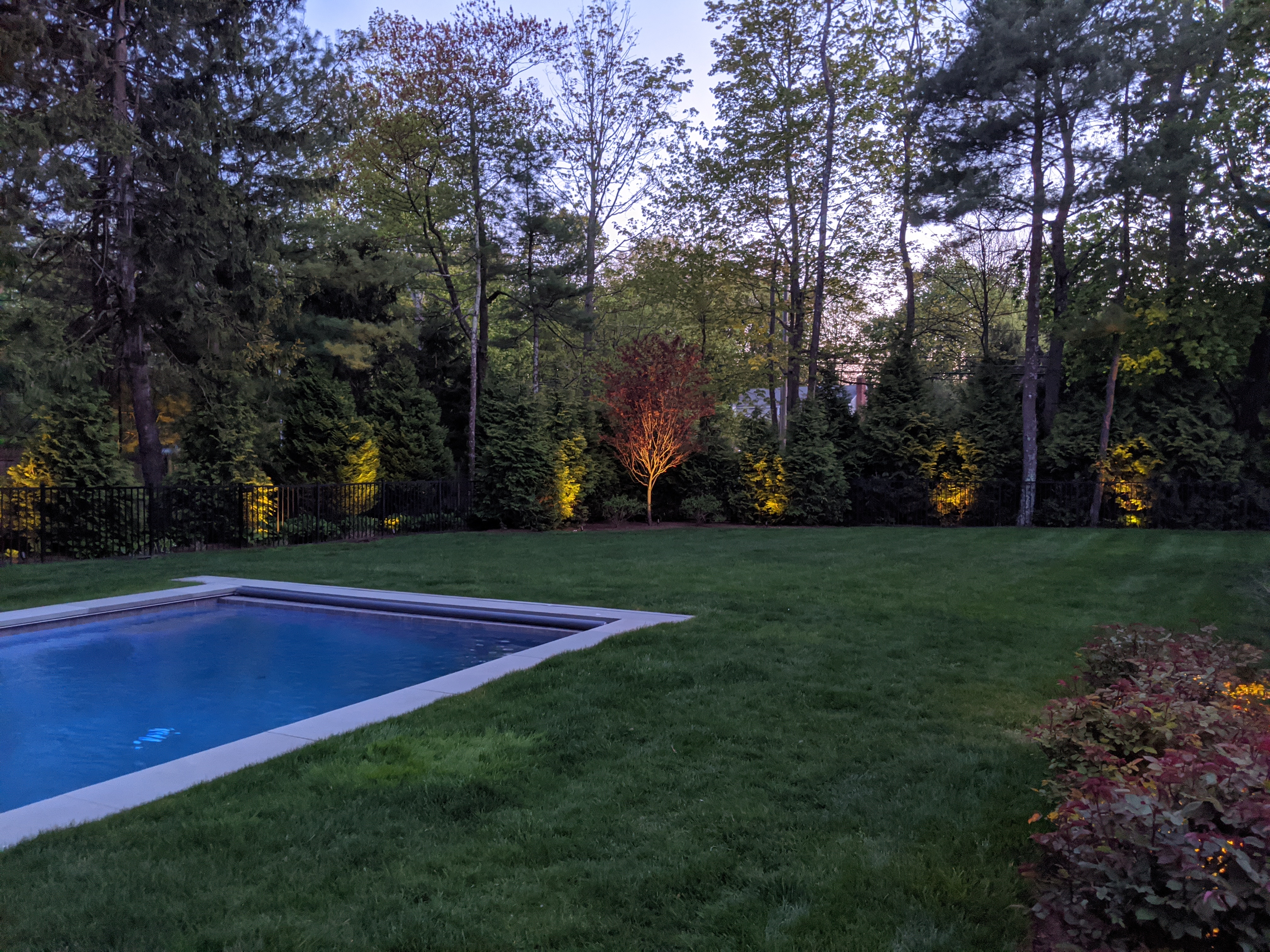 Pool and landscaped yard illuminated with architectural landscape lighting